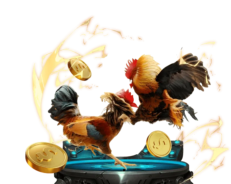 Tổng quan đá gà trực tuyến win55